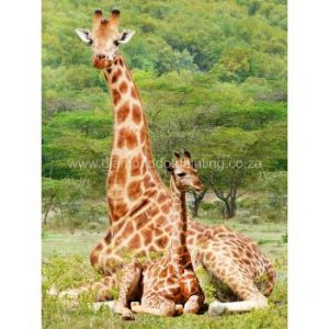 DDP0115 Mom and Baby Giraffe