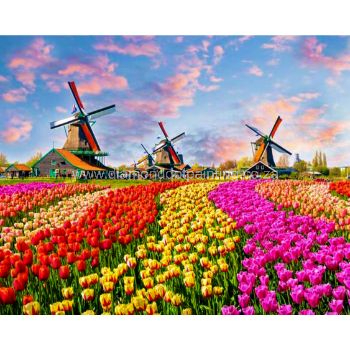 DDP0521 Four Windmills