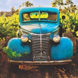 DDP0622 Vineyard Truck