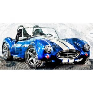 DDP0711 Cobra