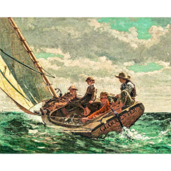 DDP0769 Spinnaker