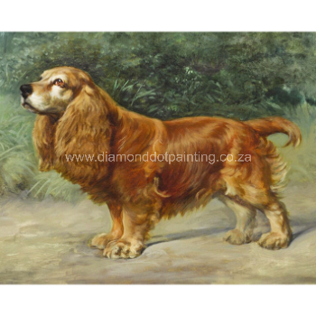 DDP0774 Cocker Spaniel