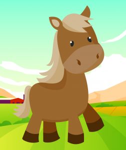 DDP1807 Pony