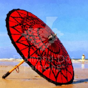 DDP0403 Parasol
