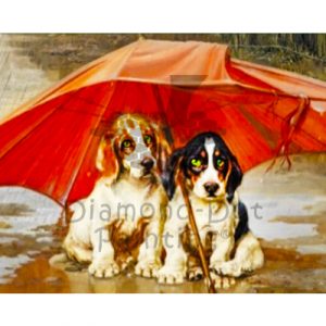 DDP0517 Basset Pups Under Umbrella