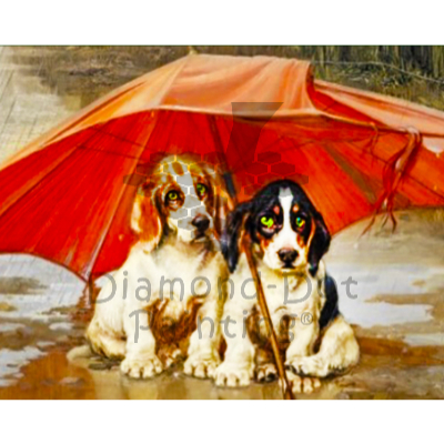 DDP0517 Basset Pups Under Umbrella