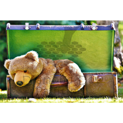 DDP0366 Travel Companion