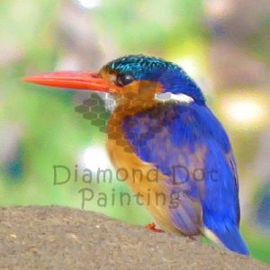 DDP0629 KingFisher Left Facing