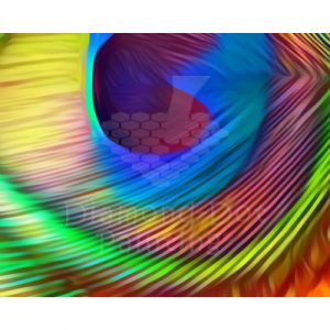 DDP0795 Peacock Feather