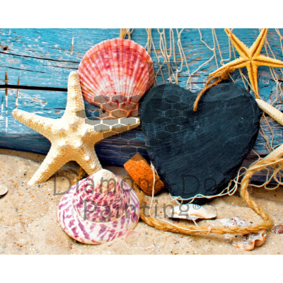 DDP0804 Collection of Shells