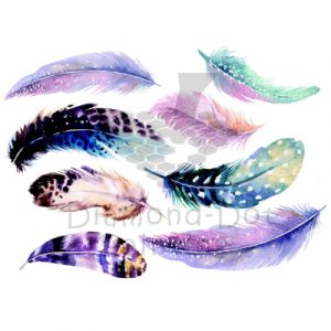 DDP0805 Collection of Feathers