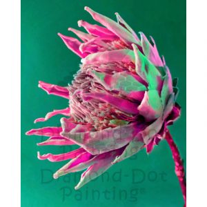 DDP0873 Protea Green