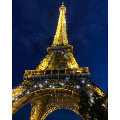 DDP0876 Eiffel Lights