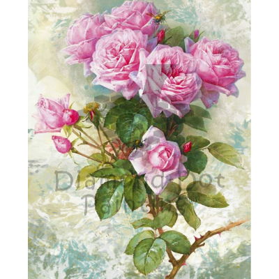 DDP0862 Pink Roses